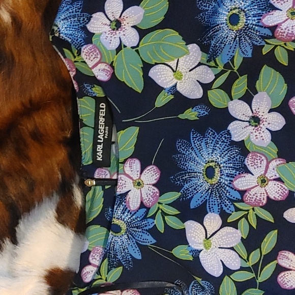 Karl Lagerfeld Floral Midi Dress - Black and Blue - Picture 2 of 5